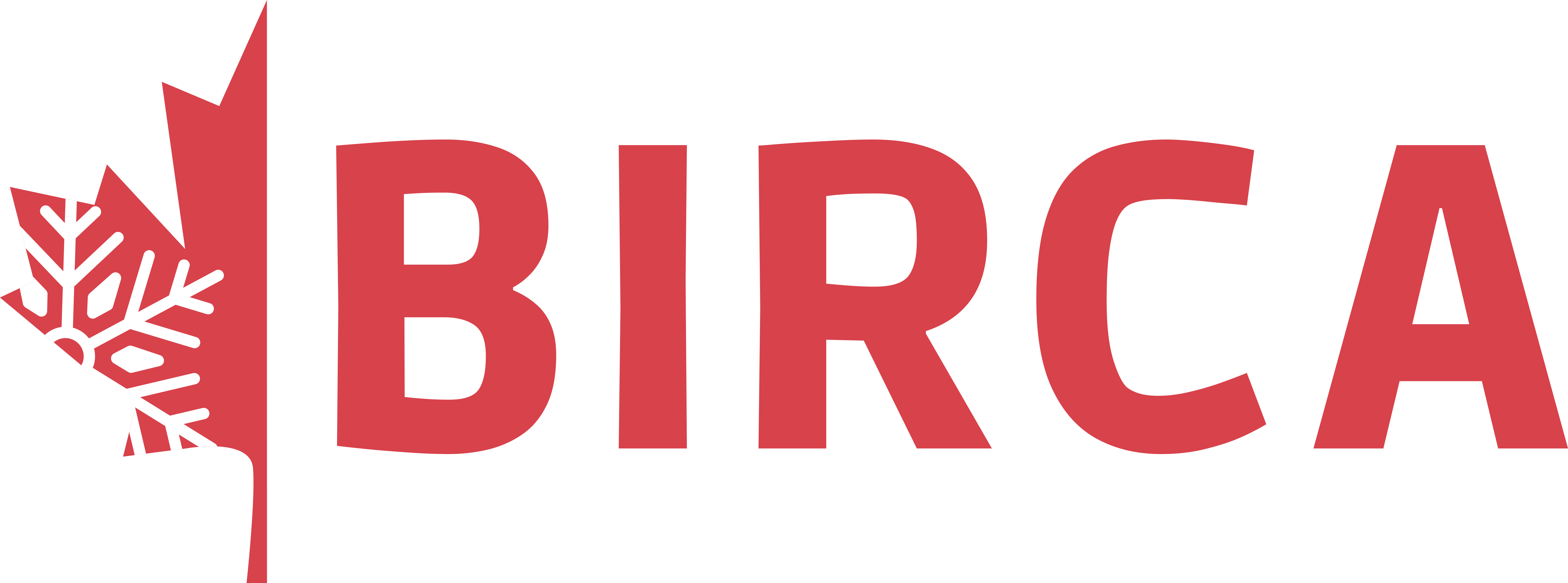 Birca